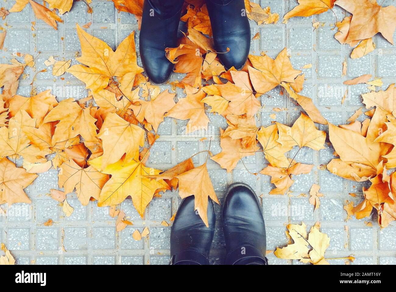 Deux pieds de femmes debout en feuilles d'automne, Malaga, Espagne Banque D'Images