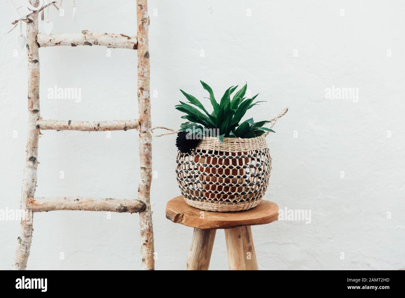 Planter dans un porte-macrame sur un tabouret en bois à côté d'une échelle Banque D'Images