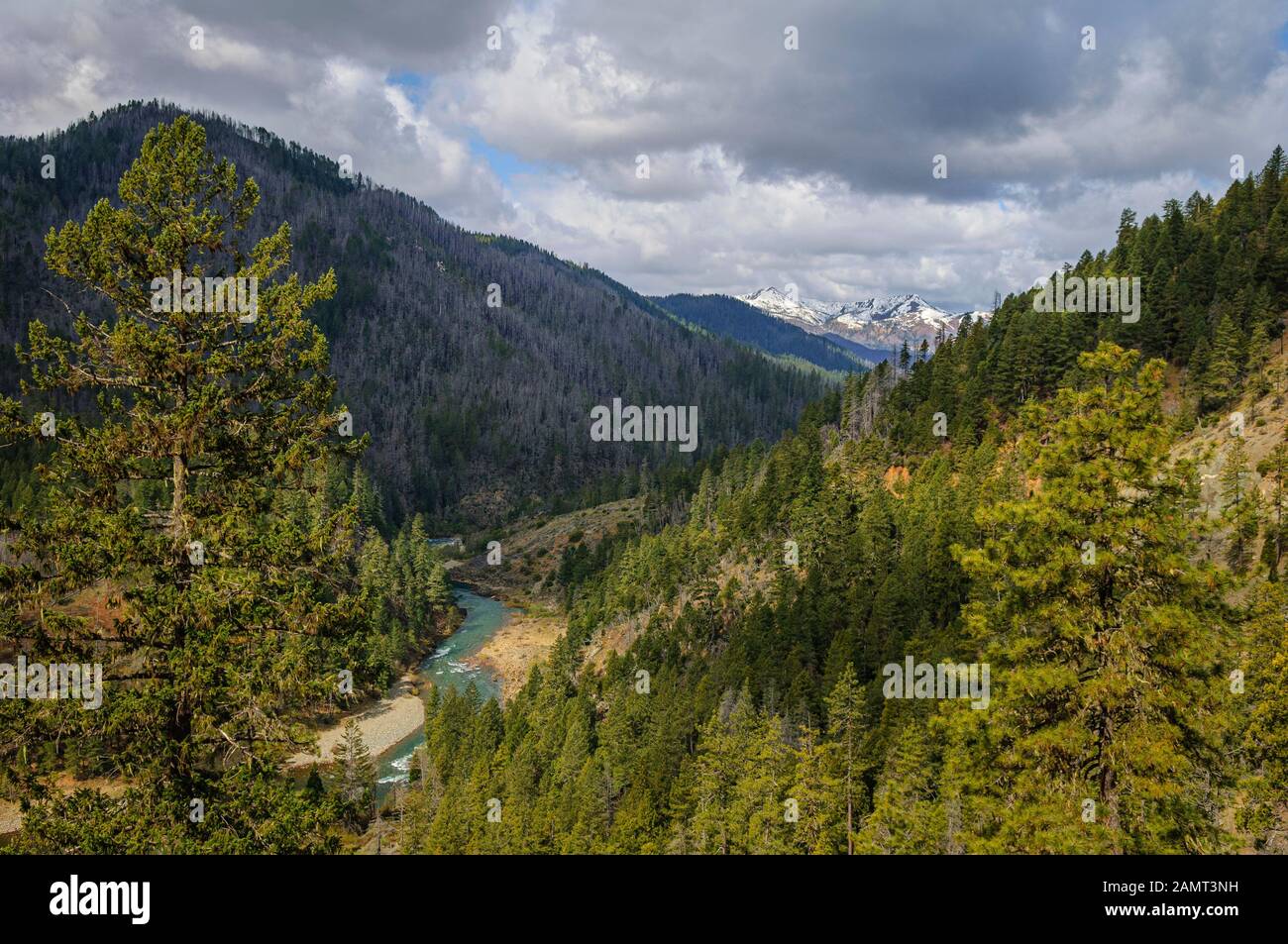 La rivière Wild et Scenic Illinois dans les montagnes Siskiyou du sud-ouest de l'Oregon. Banque D'Images