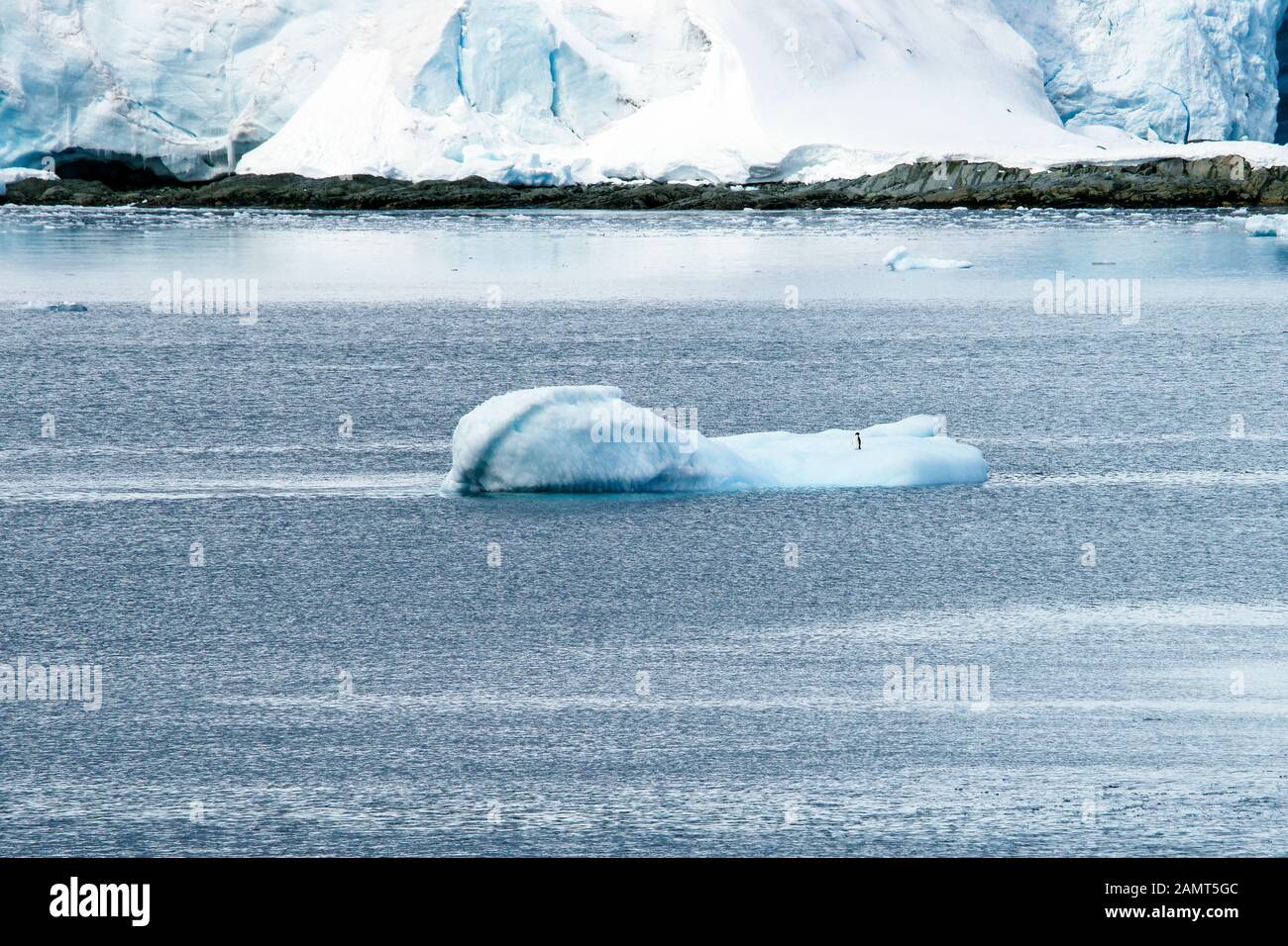 Antarctique - Canal Lalaire. Un petit pingouin Adélie sur un petit iceberg bergy ou très petit. Le vent cause toutes les très petites ondulations dans un autre Banque D'Images