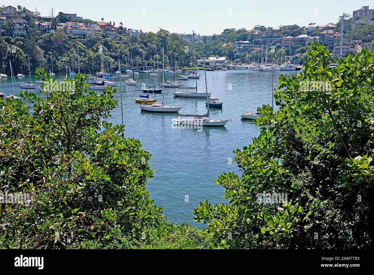 Cremorne point à Mosman Bay Coastal Walk, Sydney, Australie Banque D'Images