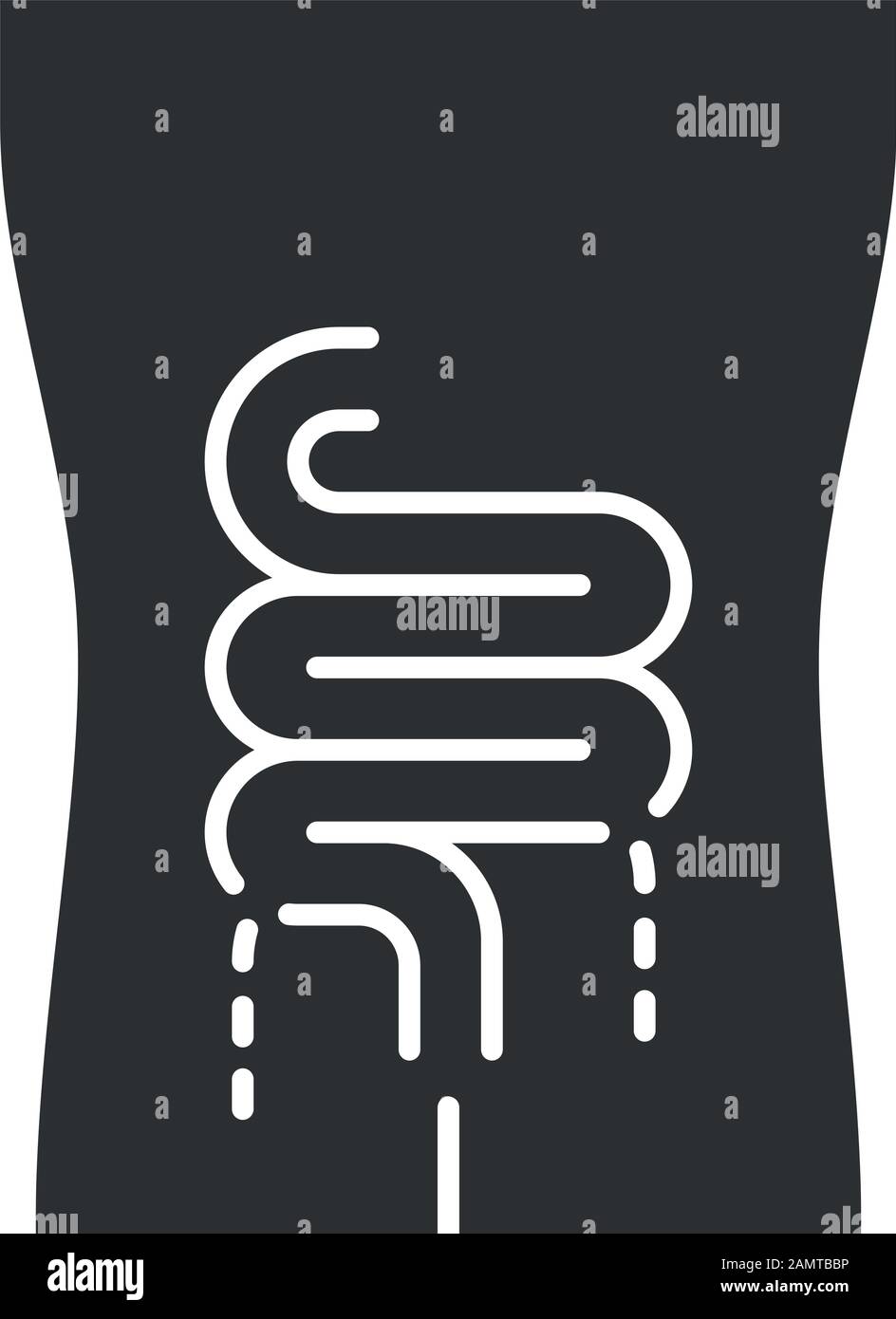 Icône glyphe des intestins malades. Organe humain douloureux. Système