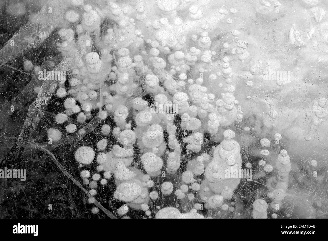Des bulles de méthane piégées se sont gelées dans l'eau sous la glace épaisse fissurée et repliée sur le lac Abraham Banque D'Images