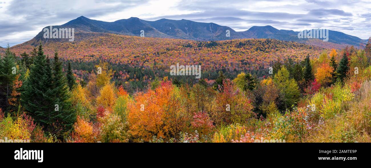 White Mountain National Forest, Lincoln, New Hampshire, États-Unis Banque D'Images