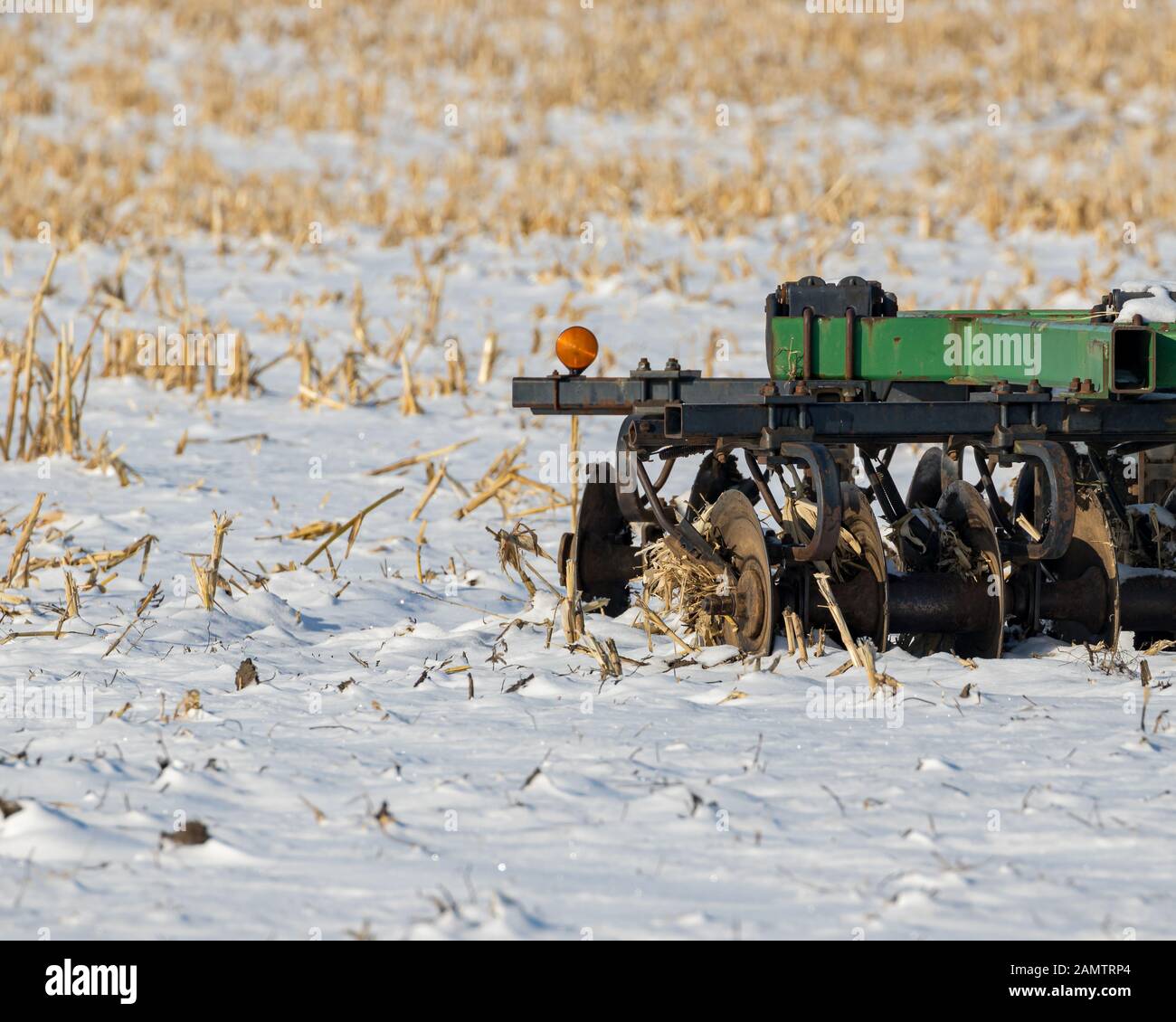 Le travail du sol disque farm equipment de champ avec les tiges couvertes de neige. concept de retardé les travaux de terrain et long hiver pour les agriculteurs Banque D'Images