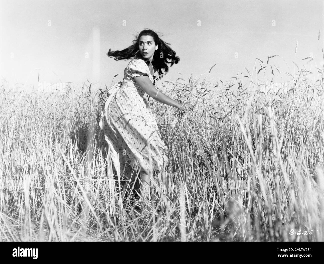 Anna Fouvou, Publicité Portrait pour le film, 'Bed of Grass' (Grec : Ayoupa ou Agioupa à koritsi tou kampou), Parnasus films Inc., 1957 Banque D'Images