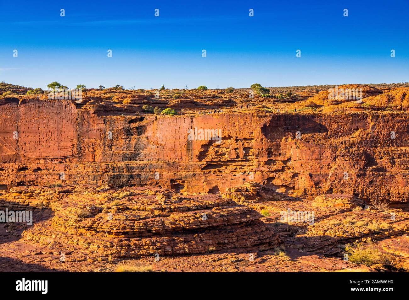 Le mur sud massif du Kings Canyon dans le parc national de Watarrka. Territoire Du Nord, Australie. Banque D'Images