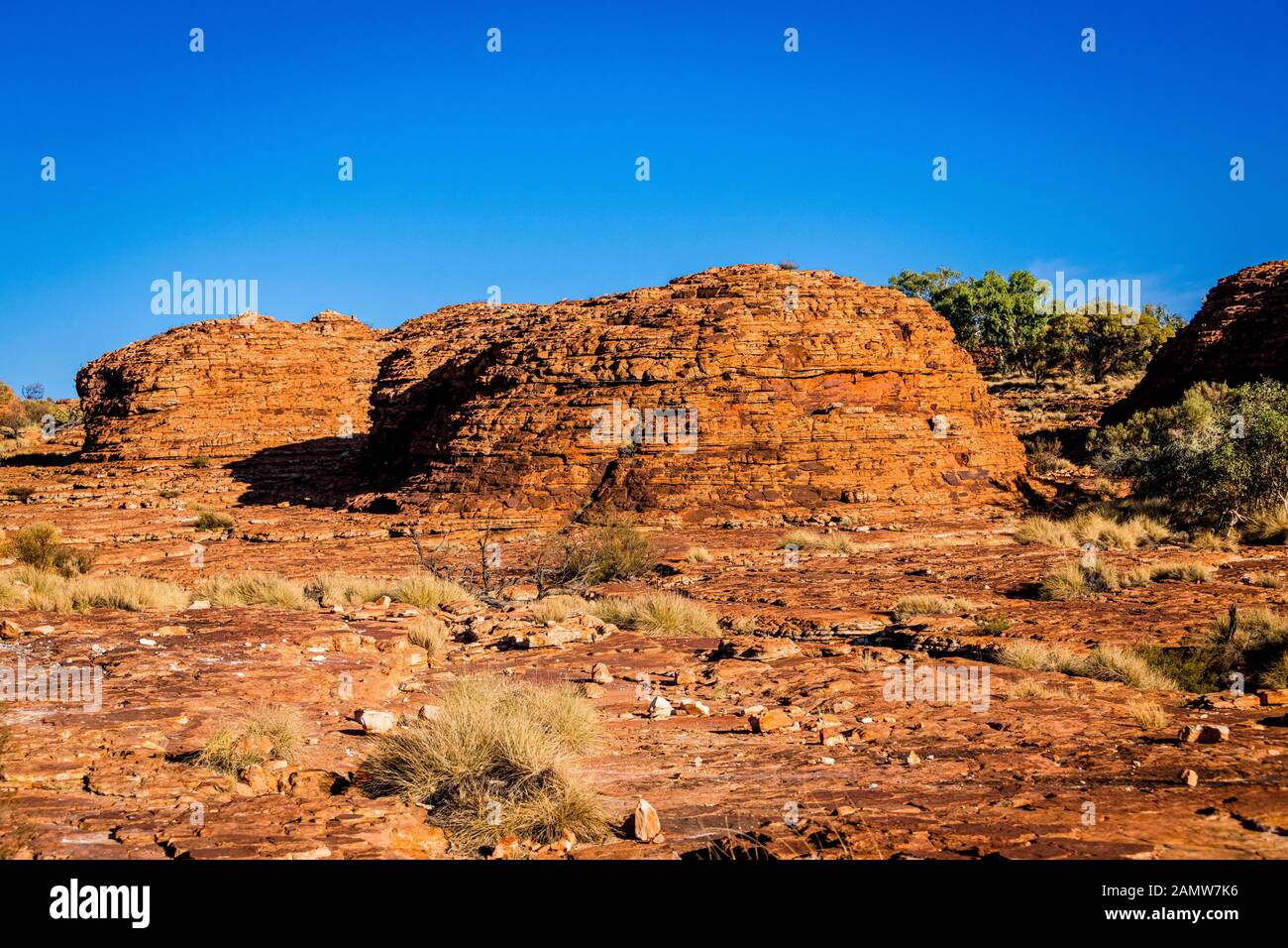 Traversez la literie dans les dômes de type ruche à Kings Canyon. C'est la preuve que la Mereenie Sandstone était à l'origine des dunes de sable. Banque D'Images