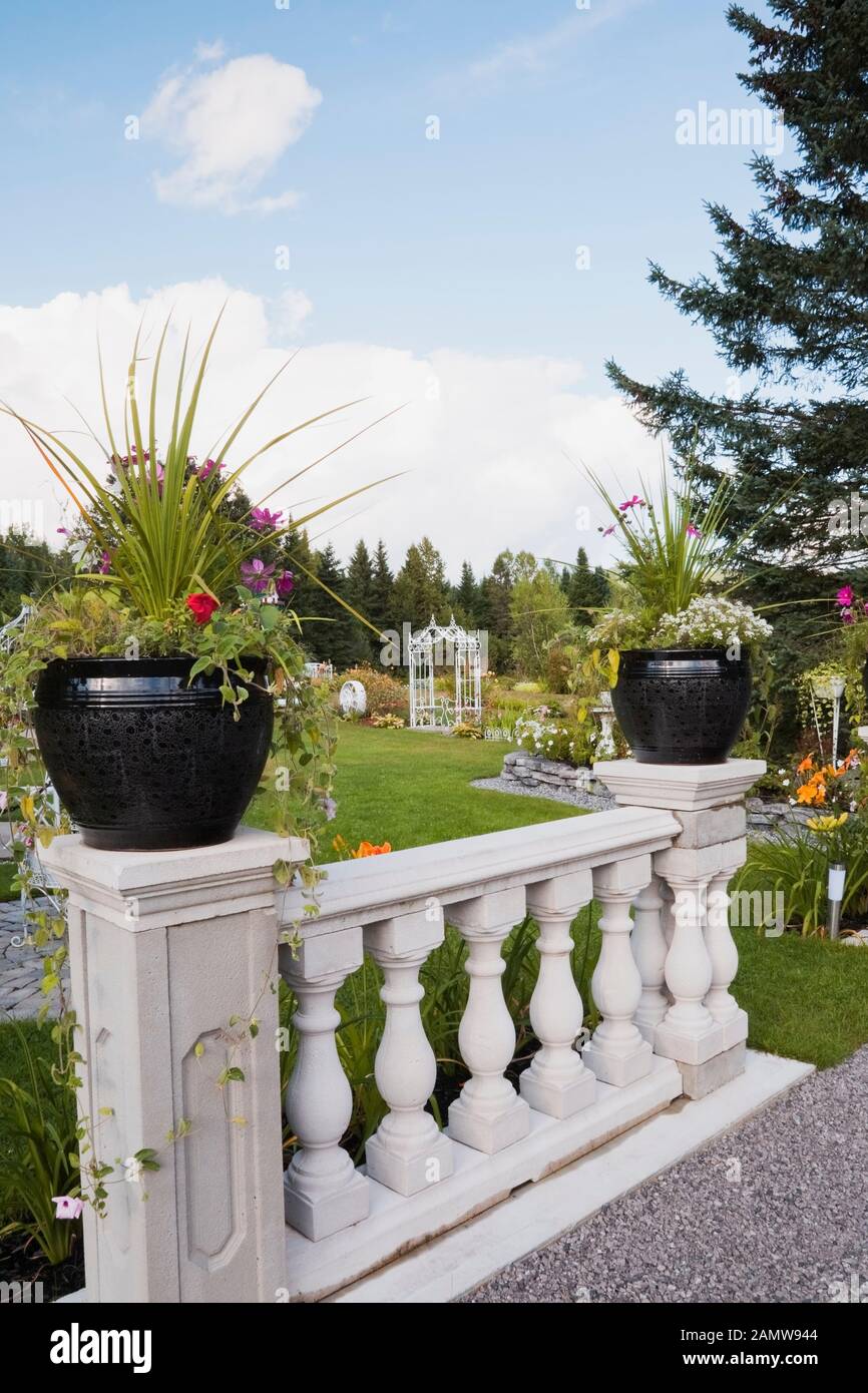 Planteuses en céramique noire avec fleurs et arbustes Dracaena sur le dessus de la rampe en béton blanc dans le jardin de campagne privé de l'arrière-cour en été. Banque D'Images