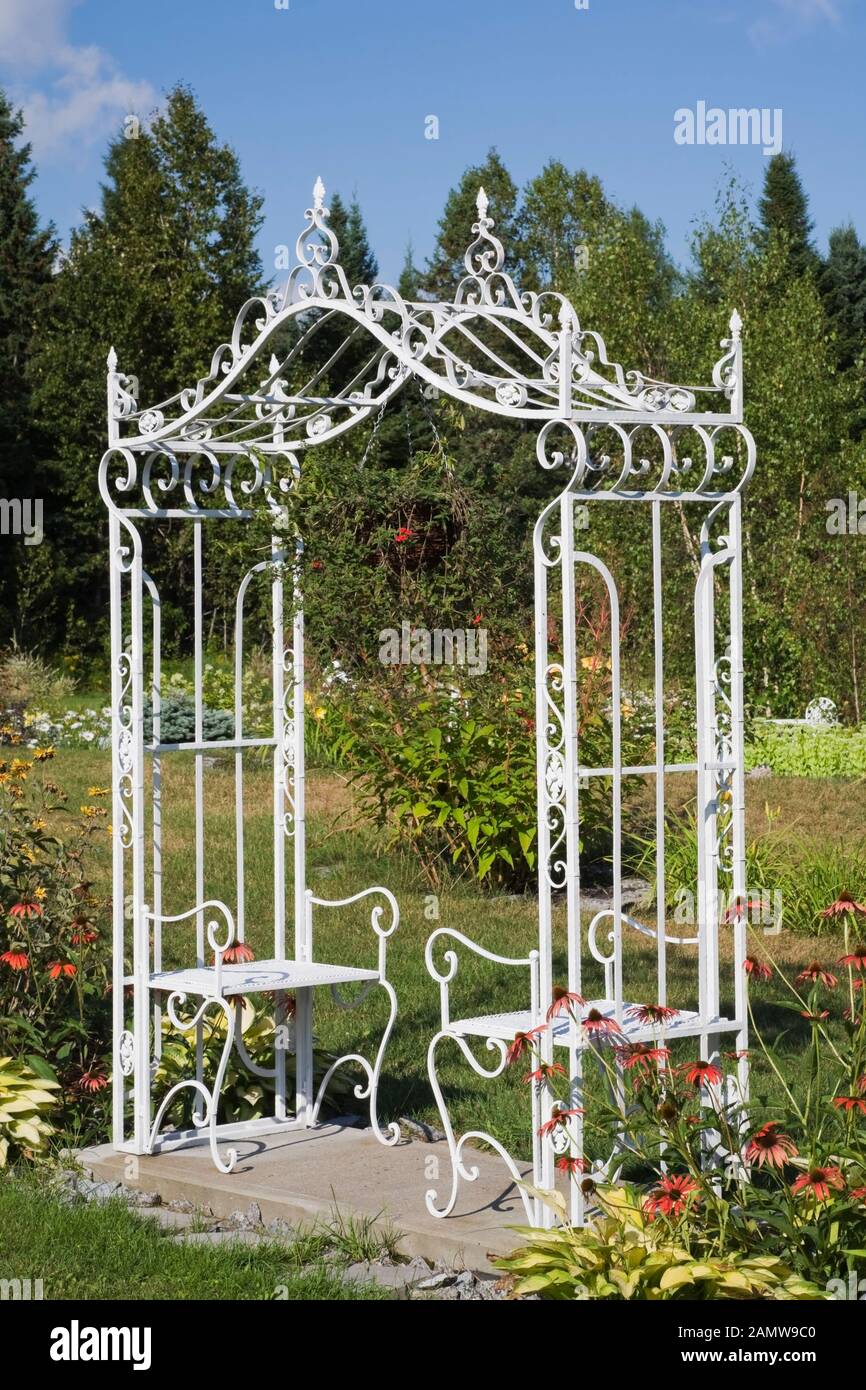 Tonneaux en fer forgé blanc avec bancs assis à côté des frontières avec l'échinacée rouge - fleurs de conée et plantes Hosta dans le jardin de campagne arrière-cour. Banque D'Images