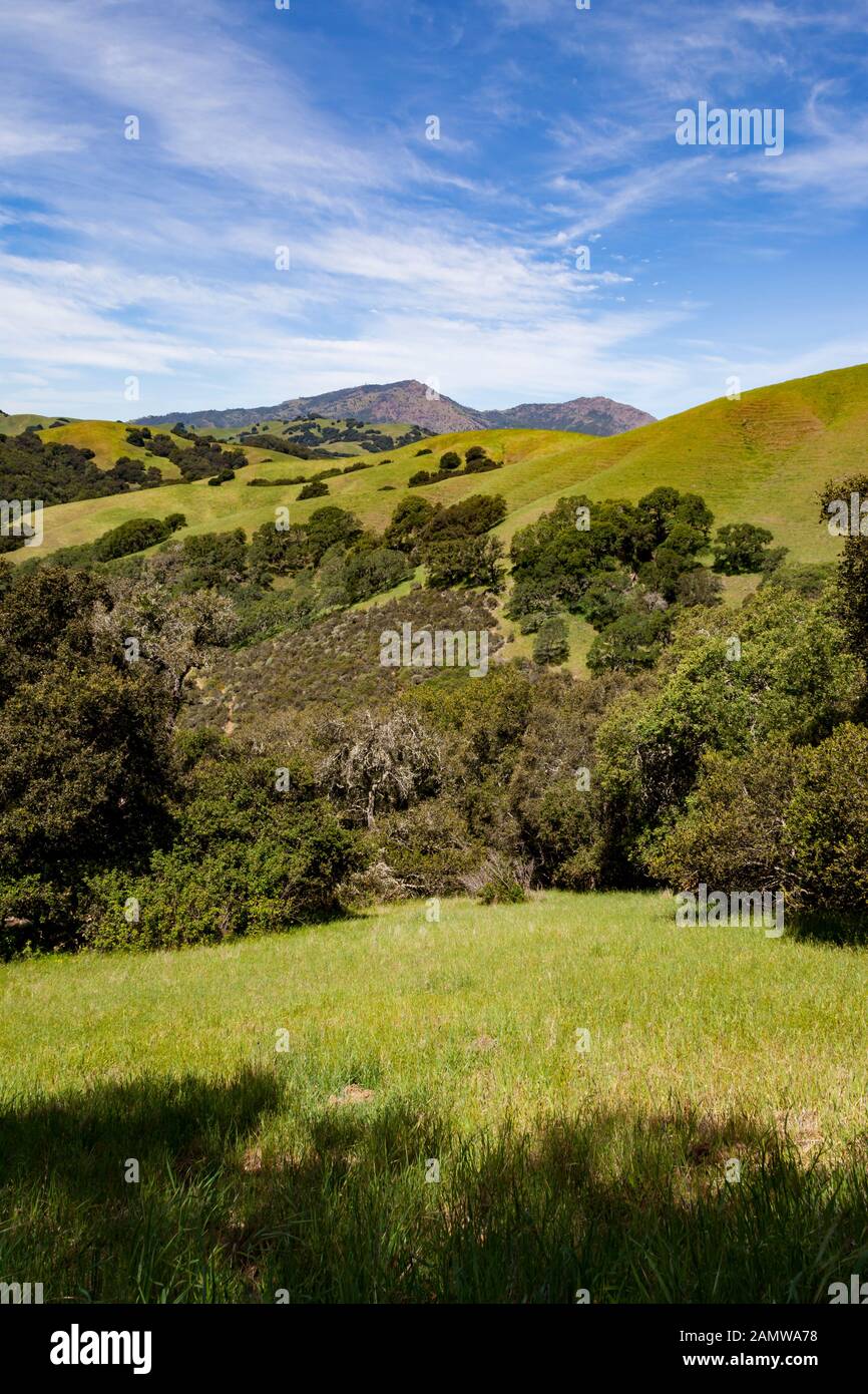 Collines de la Réserve régionale de Morgan Territory, un parc régional de East Bay situé dans le comté de Contra Costa en Californie à la base du mont Diablo. Banque D'Images