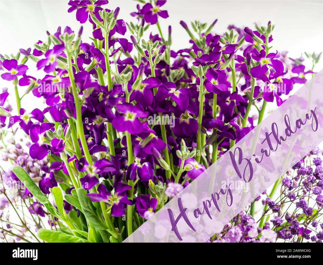 Joyeux Anniversaire Sur Fond De Fleurs De Mauve Photo Stock Alamy Joyeux Anniversaire Sur Fond De Fleurs De Mauve Photo Stock Alamy