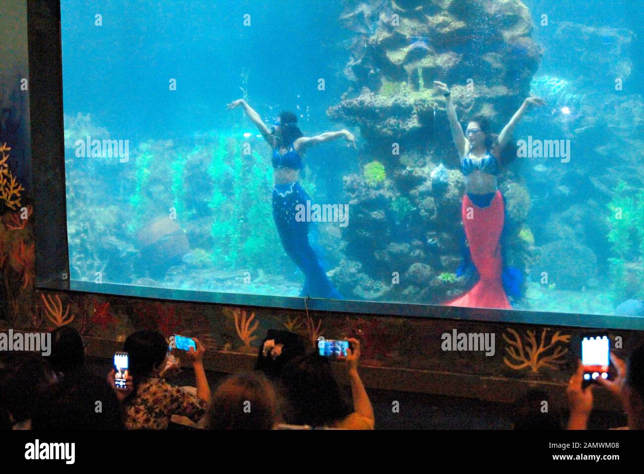 Nha Trang, nha trang, Chine. 15 janvier 2020. La ville balnéaire de nha trang, connue sous le nom de « Little maldives », est devenue une attraction touristique populaire en Asie du Sud-est. Le parc d'attractions du nouvel an chinois, construit par des magoins russes, a attiré de nombreux touristes chinois à découvrir la plus longue téléphérique d'Asie à travers la mer. Crédit: Sipa Asia/Zuma Wire/Alay Live News Banque D'Images