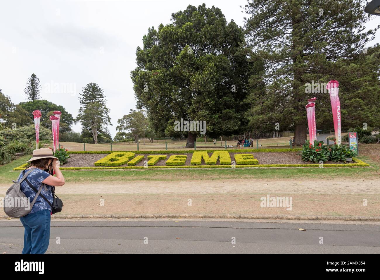 Une femme photographie une exposition de plantes dans les jardins botaniques royaux de Sydney qui dit Bite Me. les mots se réfèrent à une exposition de plantes carnivores Banque D'Images