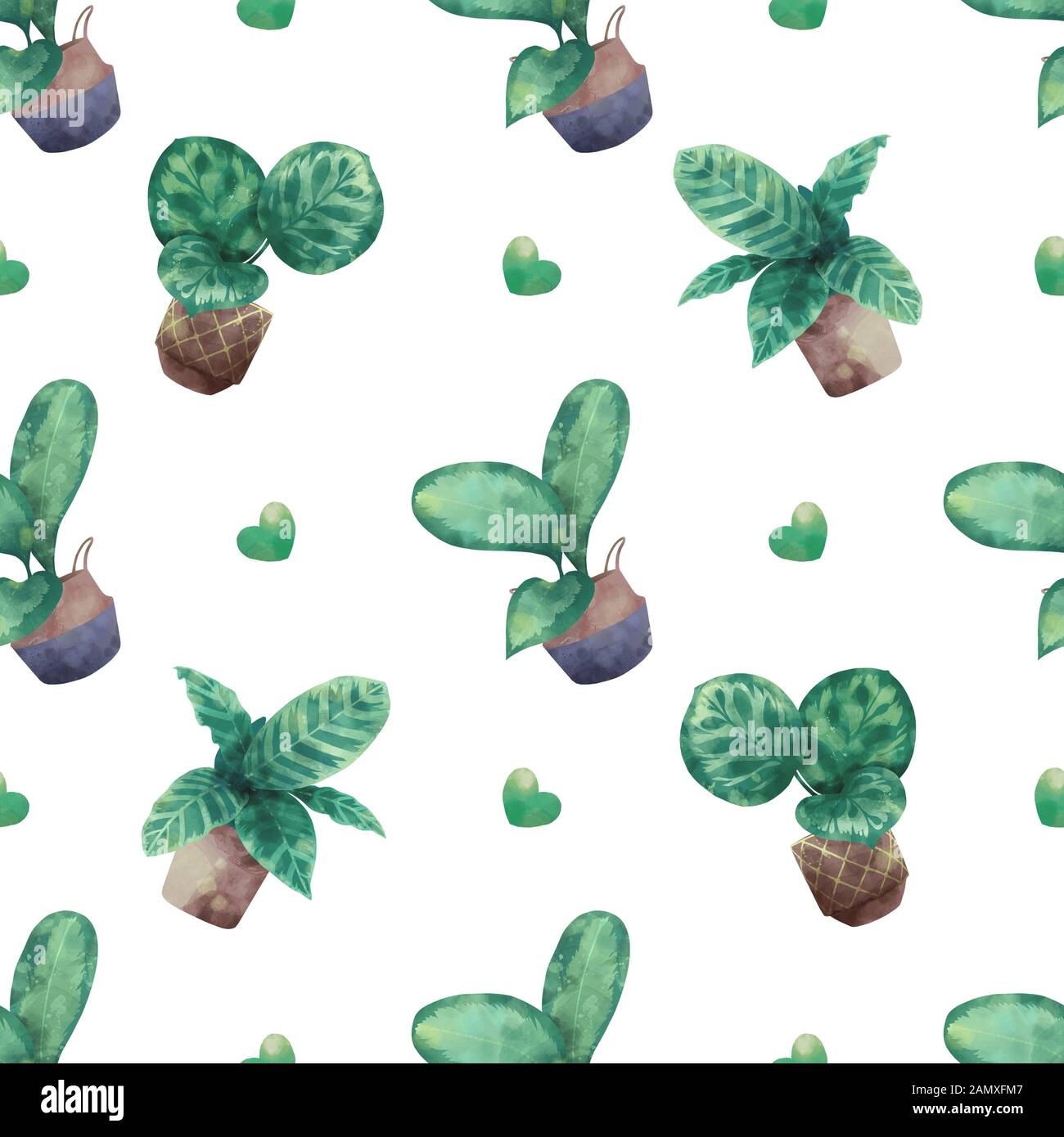 Style aquarelle modèle sans couture avec plantes tropicales 'Calathea Prayer Plant' plantes de maison om pots de fleurs sur fond blanc Banque D'Images