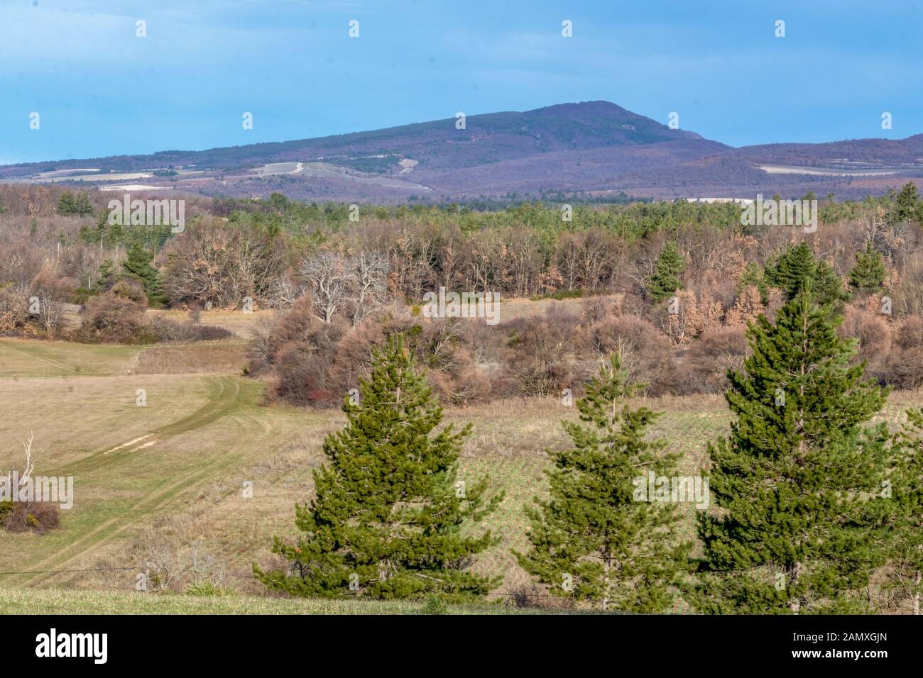 Mont Ventoux montagne dans la région de la Provence du sud de la France. Avis de Revest-du-bion située dans belle journée ensoleillée avec ciel bleu Banque D'Images