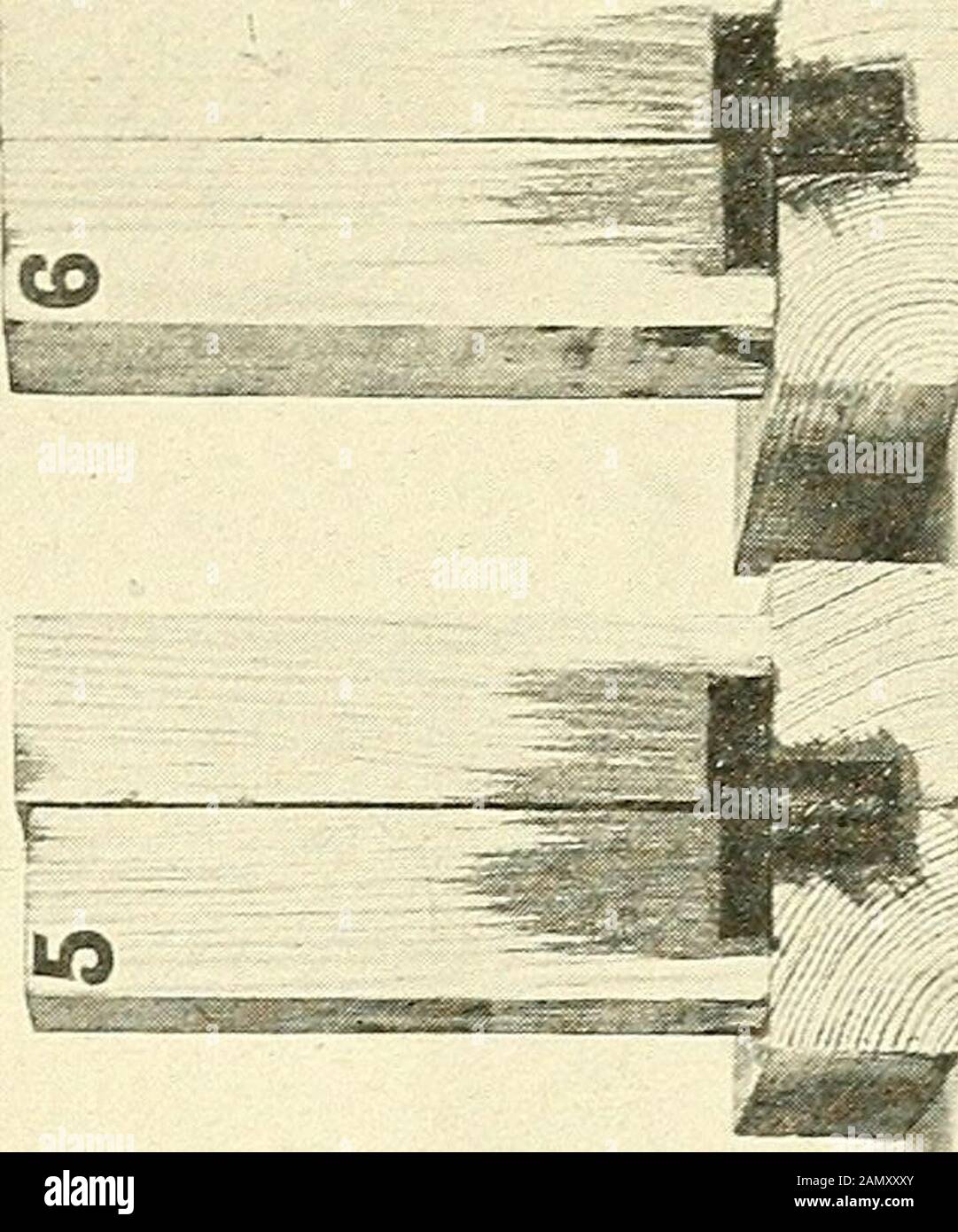 Bulletin de l'U.SDepartment of Agriculture . Mesure de carbone libre dans le mélange il y a eu une diminution de la pénétration de l'absorptionet. Toutefois, dans le cas de mélanges avec du goudron n° 3 (fig. 4, c) après un certain point a été atteint, il y a eu une augmentation des courbes de thédécoupure et d'absorption sur l'ajout de plus grands TESTS par IMPRÉGNATION.(données dans les tableaux 5, 6 et 7.) z^u Ota. S---- M g«6« I/JM ffl0.,4 j3« £TAR -TARN 101000 900 800 700 *^Tta 600 s H TAR HO 2 X 500 kl OC Ktar 3 S3 400 EE ft, 300 200 100 nflfl 25 50 PERCENT de TAR PAR VOLUME 73 100 Fig. 3. -la variation du temps de traitement et du pressu Banque D'Images