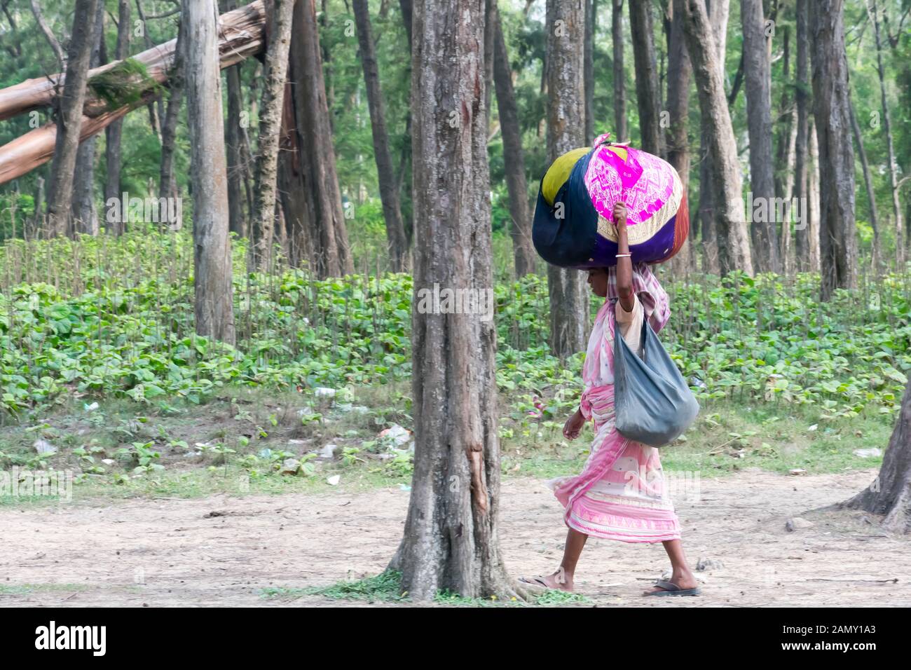 Une femme tribal transporter biens sur la tête, va vérifier son nom sur la liste définitive de registre national des citoyens. Le CNRC CAA CAB dépouillé de nombreux peop Banque D'Images