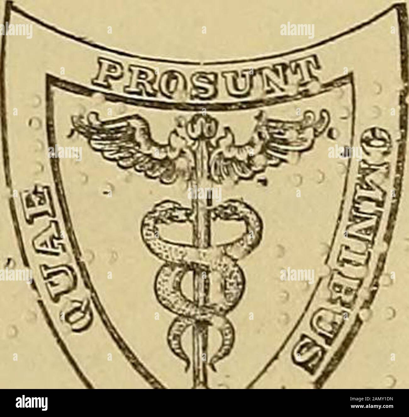 Un système de chirurgie . arvard Medical School www.archive.org/details/systemofsurgery01trev UN SYSTÈME DE CHIRURGIE PAR Charms B. ball, M.D., T.D.C. Arthur E. Barker, F.R.C.S.C., William H. Bennett, F.R.C. Anthony L.A. Bowlby, F.R.C.I.C.C.C.C.R.C.R.C.C.C.R.C.C.C.R.C.R.C.R.C.R.C.R.C.C.C.C.C.R.C.R.C.R.C. Fort W. Watson Cheyne, F.R.S.W. Bruce Clarke, M.B. Oxou.H. H. Ci.utton, M.B. Cantab.H. Percy Dean, M.S. Loud.Andrew Duncan, B.Sc Fond.A. Pearce Gould, M.S. Lond.Frederic W. Hewitt, M.D. Cantab. G. Sims Woodhf.ad, Jonathan Hutchinson, Jr., F.R.C.S.W. Arbuthnot Lane, M.S. Lond.C. B. Lockwood, F.R.C.S.G. H. Makins, F.R.C.S.J. H. Morgan, F.R.C.S. Henry Morris, M. Banque D'Images