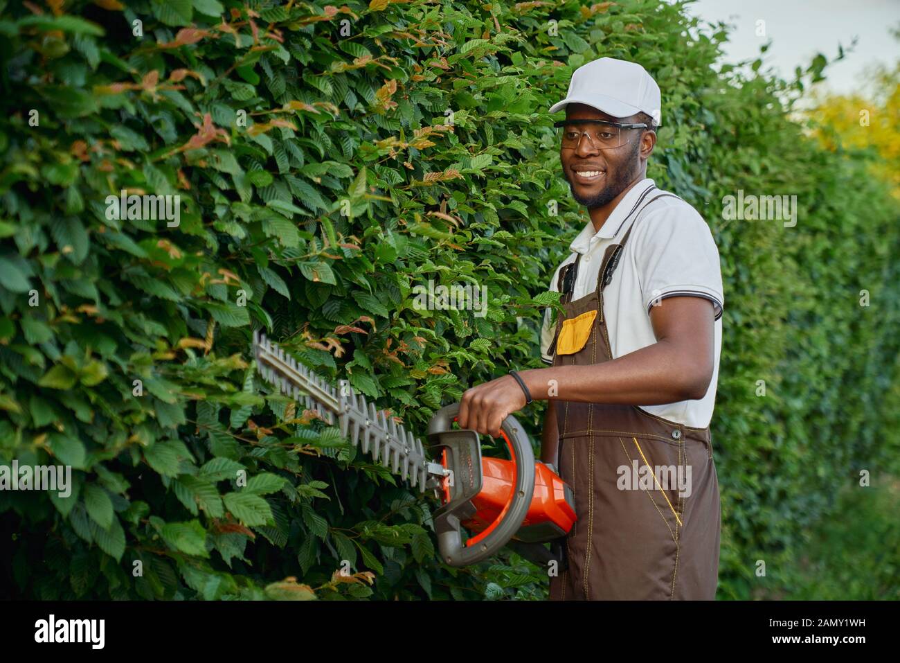 Cheerful afro homme jardinier dans vêtements de travail et des lunettes holding electronic tondeuse pour couper les branches recouvertes de haie. Bel homme soigneusement les plantes de fraisage Banque D'Images