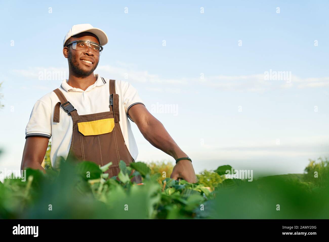 Homme heureux dans l'ensemble, des lunettes spéciales et d'été hat relaxing pendant des travaux de jardinage. Jardinier professionnel en uniforme. envahi par fraisage Banque D'Images