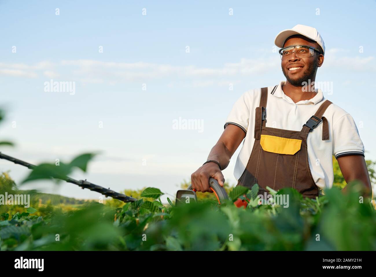 Smiling african male jardinier dans des lunettes vert coupe les buissons avec des cisailles avec fond bleu du ciel. Bel homme en travaillant dans l'ensemble avec des plantes de jardin Banque D'Images