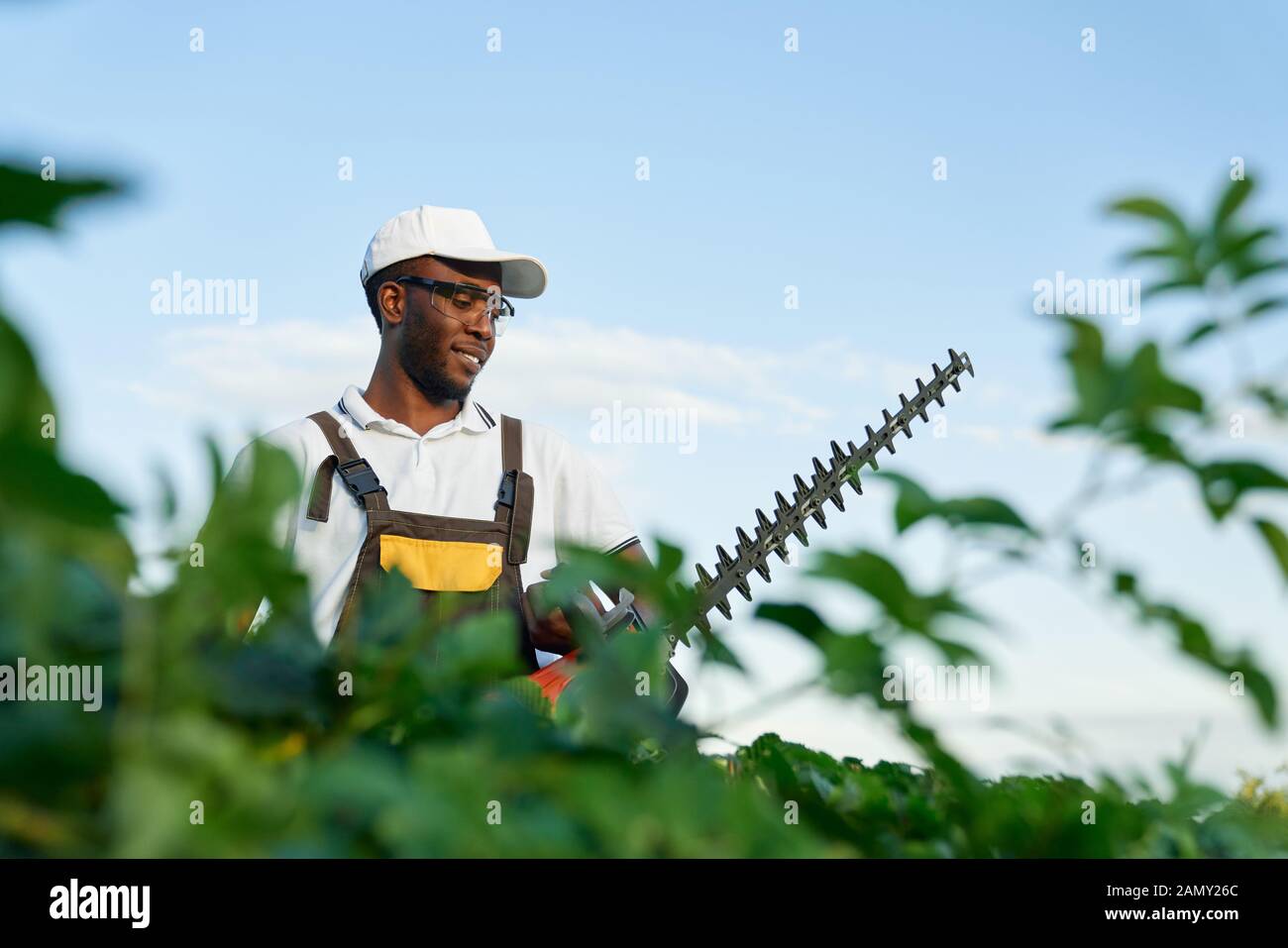 Portrait d'afro-américain homme portant uniforme spécial de l'été, chapeau et des lunettes de buissons avec coupe-haie. Jeune homme de travail jardinier avec équipement moderne à l'extérieur. Banque D'Images