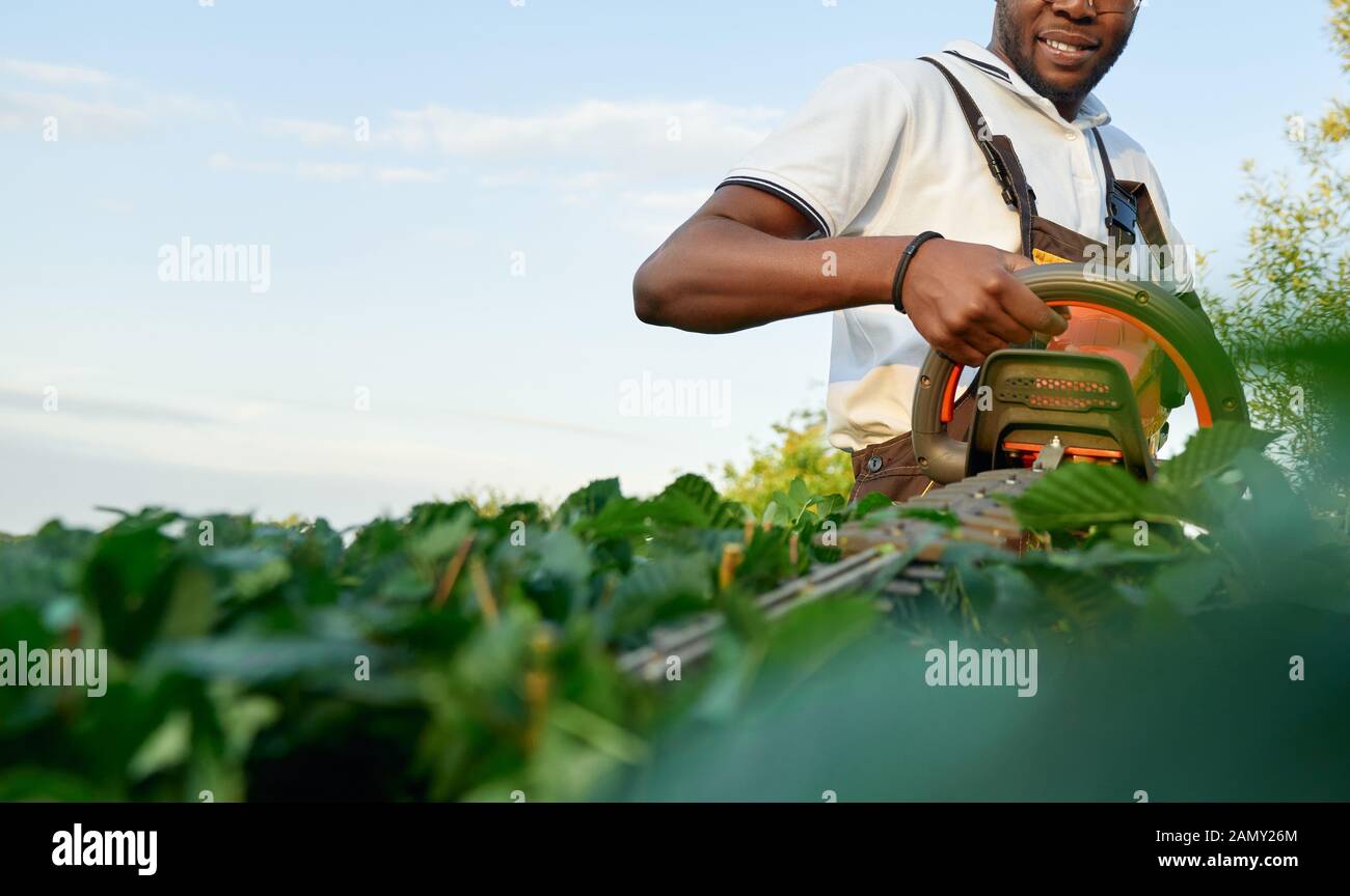 Close up of African Male hands holding jardinier tondeuse jardin envahi par la coupe de petites et les feuilles des buissons verts. Worker wearing recouvrements spéciaux et des lunettes à l'extérieur. Banque D'Images