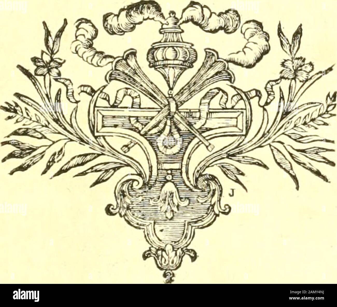 L'histoire naturelle de l'Église dans les deux partis principaux, la lithologie et la constologie : ne pas l'une de la Cité des pierres et de l'autre des codages : ouvrage dans le lequel est le résultat d'une nouvelle méthode et avis critique des principaux auteurs : enrichi de figures dessinées d'après nature . rsj&se il eft: extrament fragile, les évents le tachymatériel, les décors il laifle fa bafe attaché aux rochers, &c left lot en amené quantité le rivage. Lincerticaude du nom dece Coquillage, fa figure évidée, unie & Ci peu conformationnelle auxdifferentes efpéc Banque D'Images