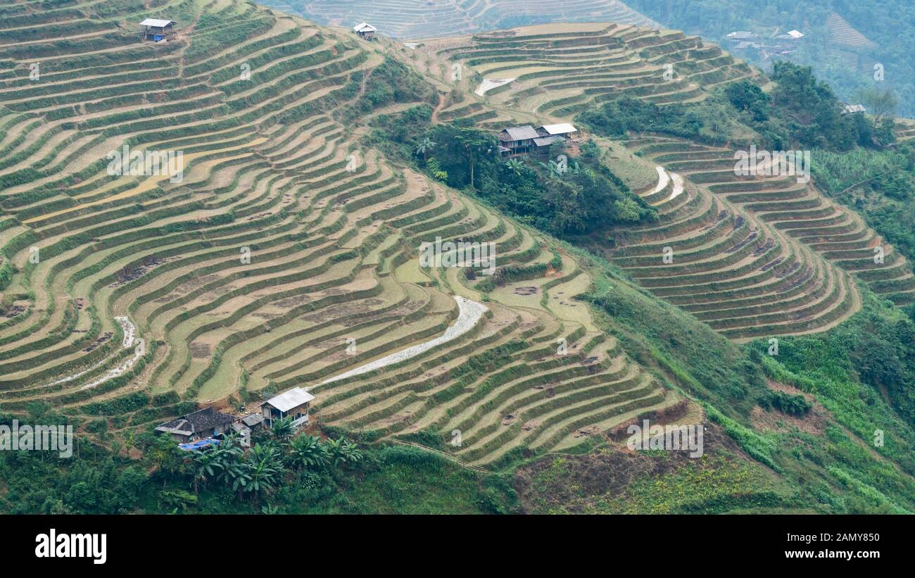 Terrasse rizières le long de Ha Giang boucle Moto au Vietnam. Le nord du  Vietnam est bien connu pour certains des plus beaux champs de riz dans le  monde Photo Stock -