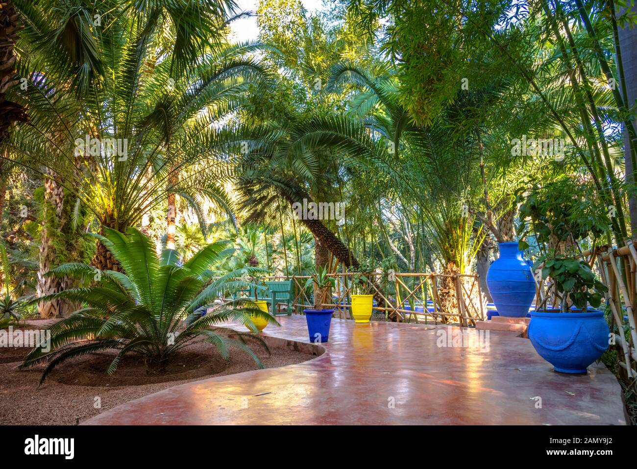 Le magnifique Jardin Majorelle est un jardin botanique, le jardin tropical et l'artiste jardin paysage à Marrakech, Maroc. Banque D'Images