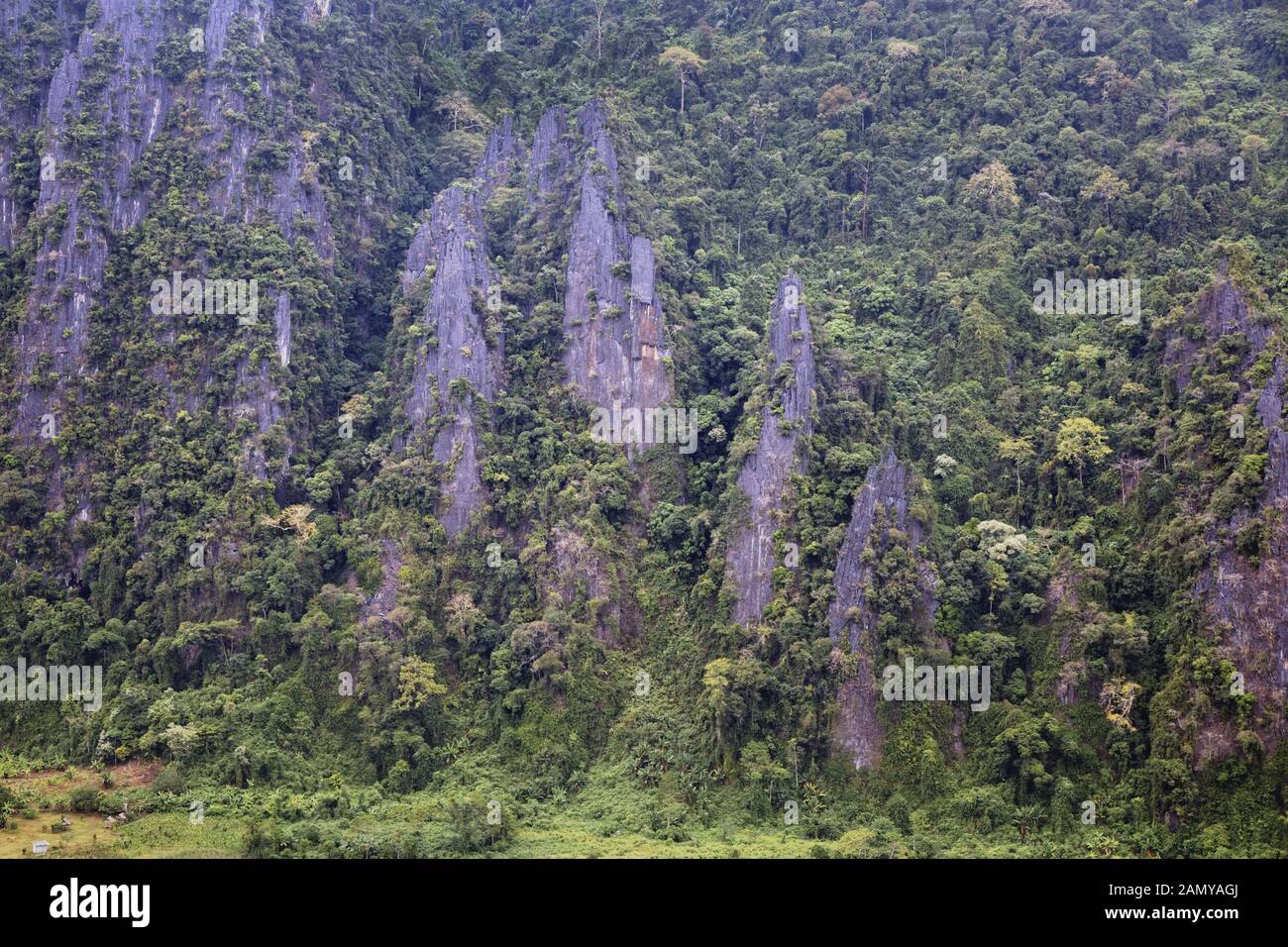 D'une montagne couverte de forêts tropicales denses près de Vang Vieng, Laos. Vue de Nam Xay Haut de vue. Banque D'Images