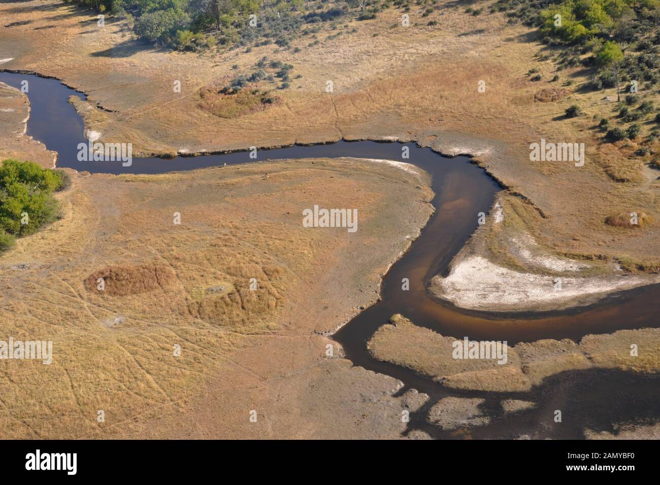 Botswana, delta d'Okawango Banque D'Images