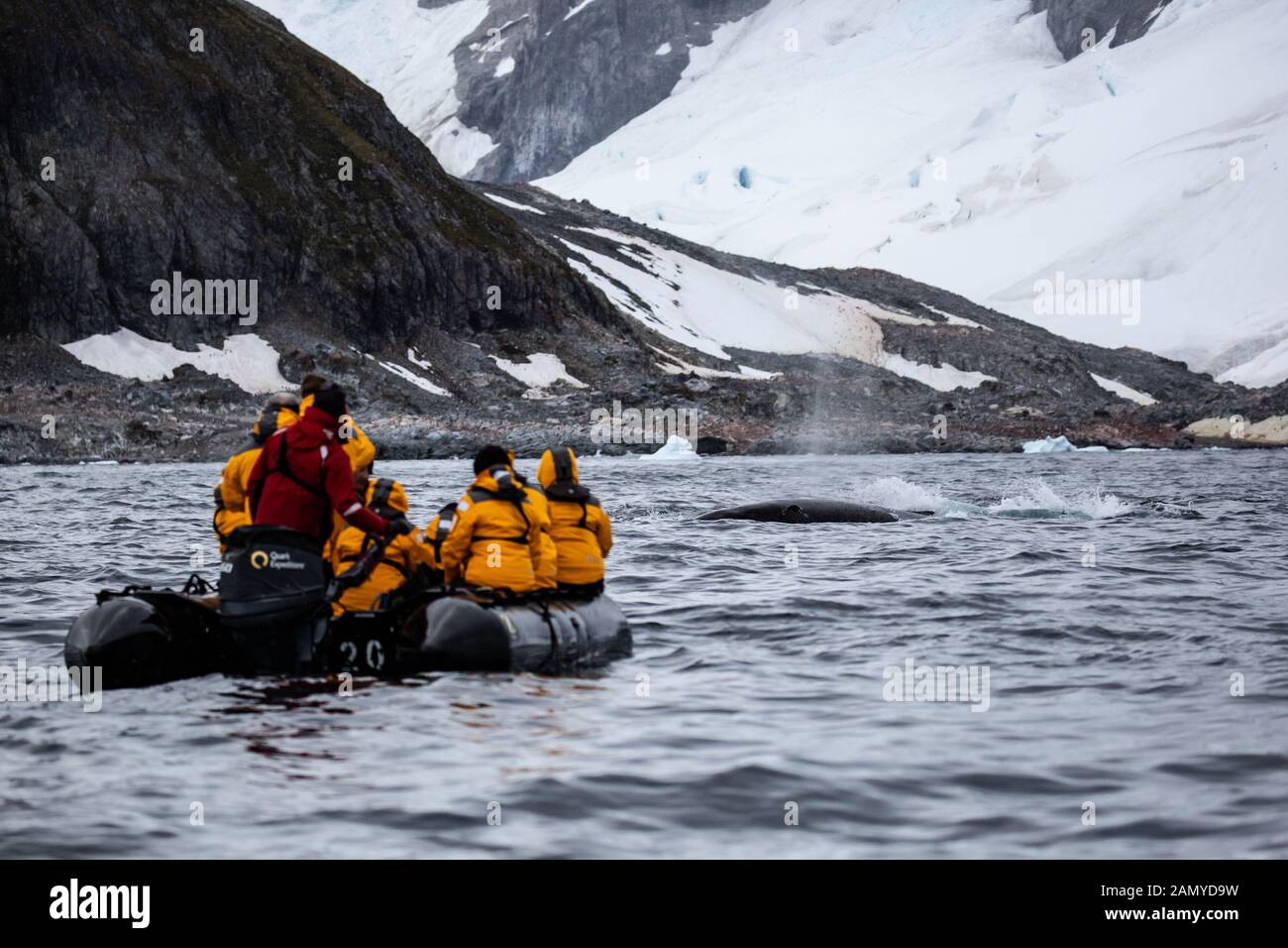 Touristes sur un bateau en caoutchouc dériveur observation des baleines près d'un iceberg. Photographié À Paradise Bay, En Antarctique. Banque D'Images