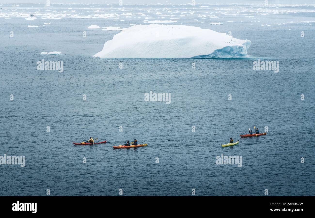 Le Groenland, Ilulissat - Août 7, 2019 : Les gens de kayaks de mer l'observation d'un rorqual à bosse Rorqual. Jusqu'à sept espèces de baleines se rendent régulièrement dans la région. Banque D'Images