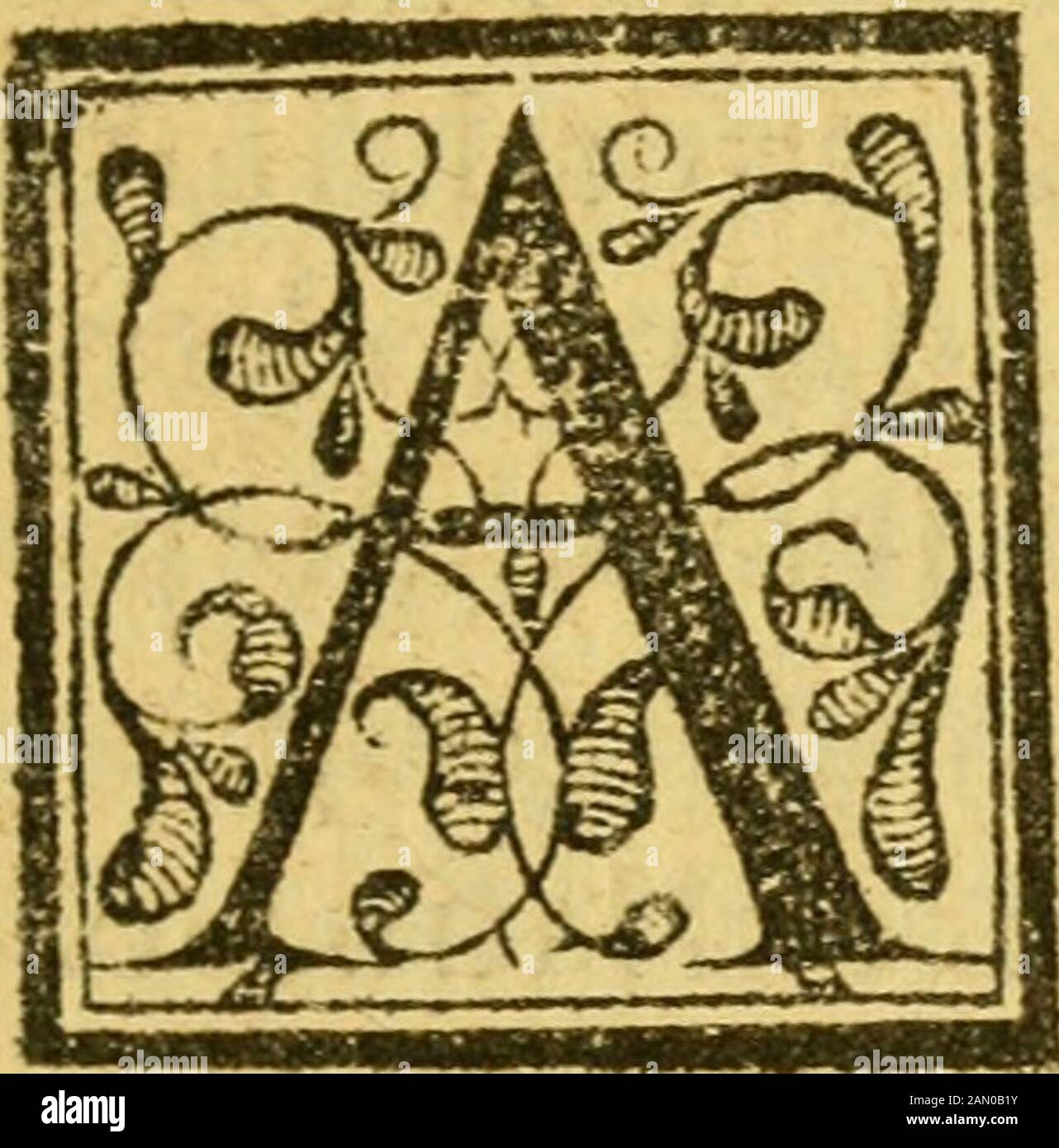 Beebimiento Qve Hizo La Mvy Noble Y Muy Leal Ciudad De Seuilla Ue Fe Fuftentajque Eran Fundacion No Blesajriquezajfertilidad Obedie Cia Viiloria Clemencia Alegria Religionj Valor Sandidad Vidod Vidod Vicicicicido Vicicicici Y