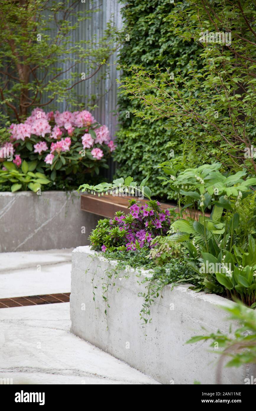 RHS Chelsea Flower Show 2013 LA FRICHE JARDIN DESIGNER KATE GOULD. Médaillé d'or Banque D'Images