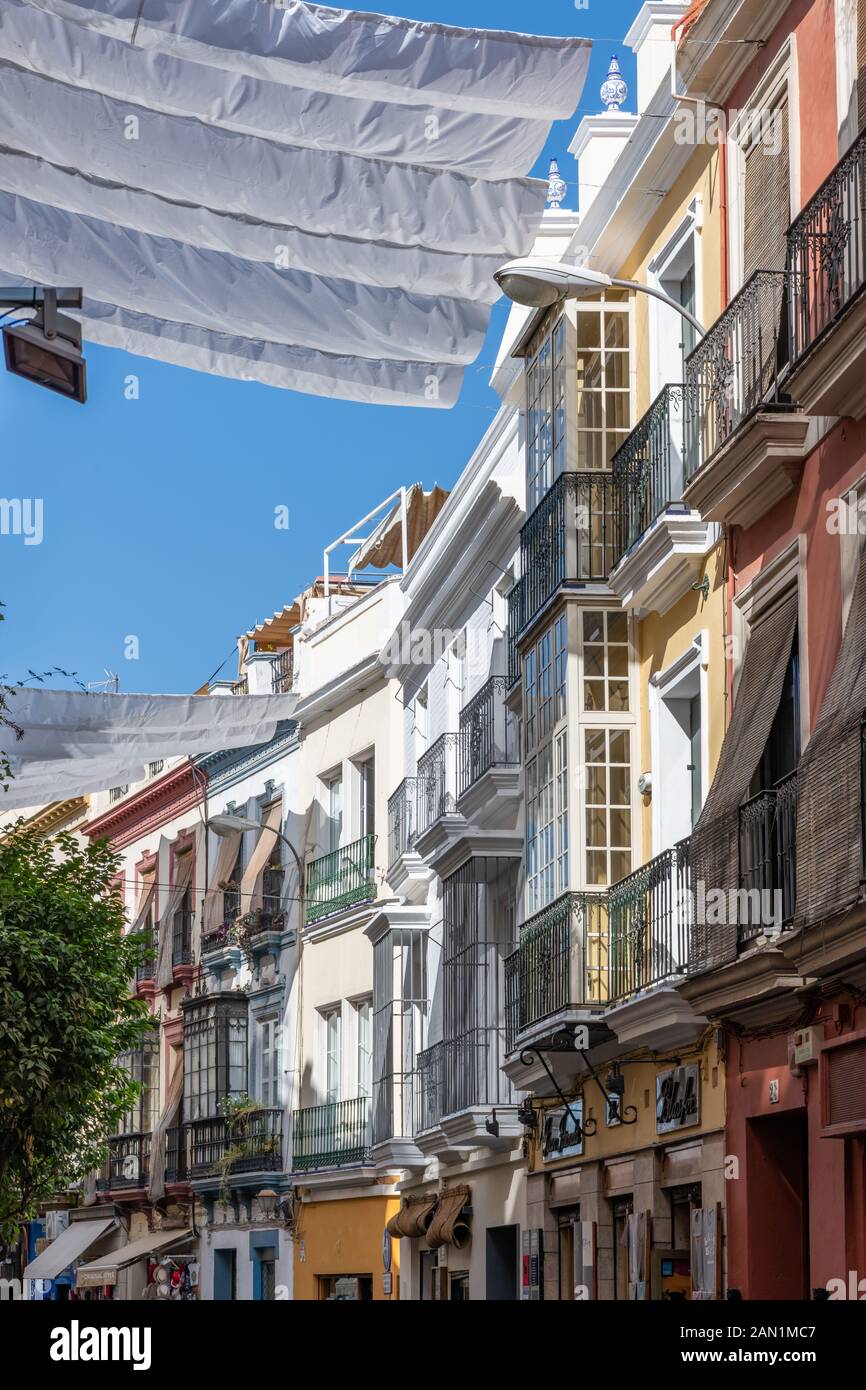 Les parasols blancs couvrent la Calle Hernando Colón avec ses boutiques colorées et cafés Banque D'Images