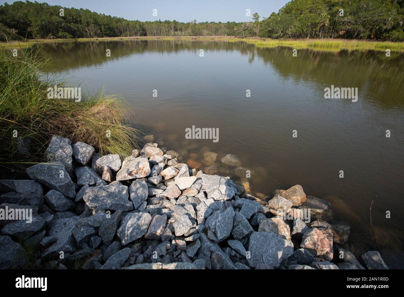 Caroline du Sud marais Lowcountry scènes avec bassins de rétention pour le contrôle des inondations. Banque D'Images