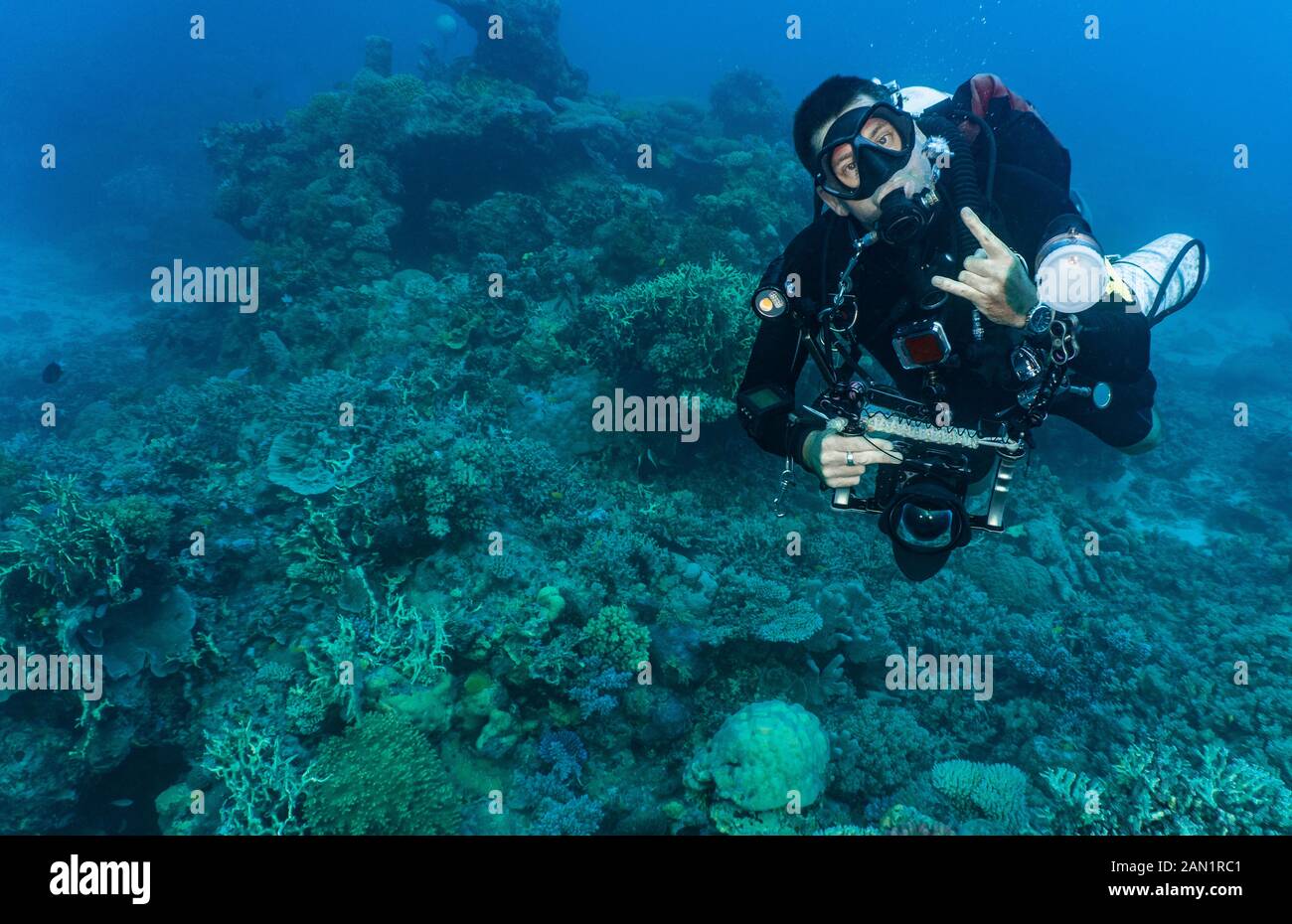 Plongée avec caméra sous-marine en position à la Grande barrière de corail Banque D'Images