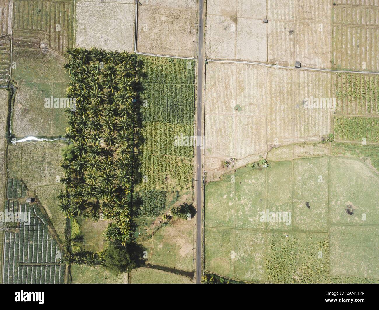 Vue Ariel des champs agricoles Banque D'Images