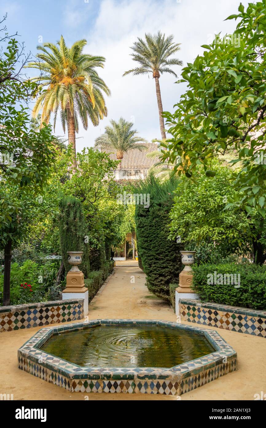 L'étang octogonal bordé de tuiles dans le jardin de los Limoneros, avec ses haies en bois, ses palmiers en éventail dans le désert, ses orangers de séville et ses urnes ornementales. Banque D'Images