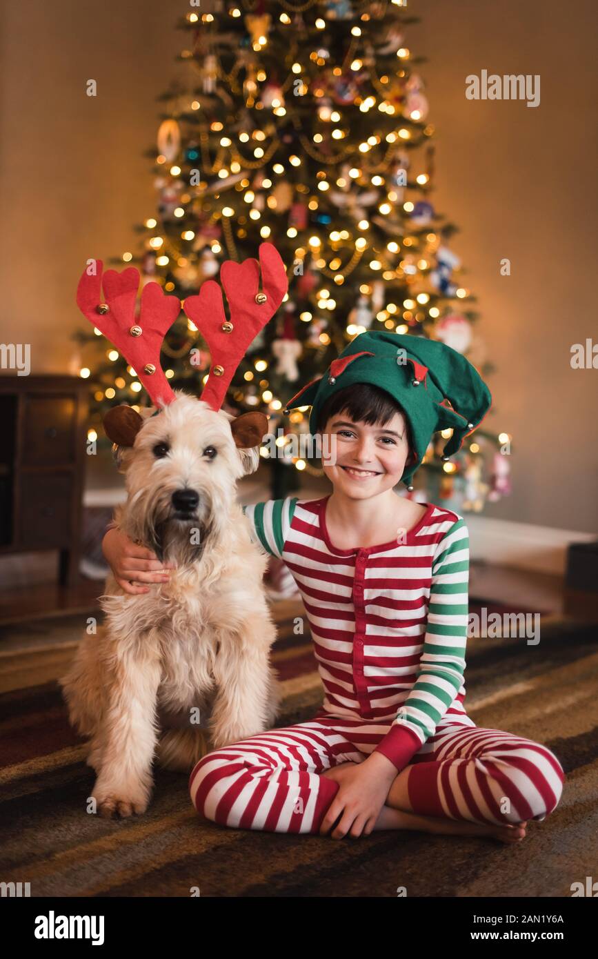 Garçon dans un chapeau d'elfe et chien dans des bois assis devant l'arbre de Noël. Banque D'Images