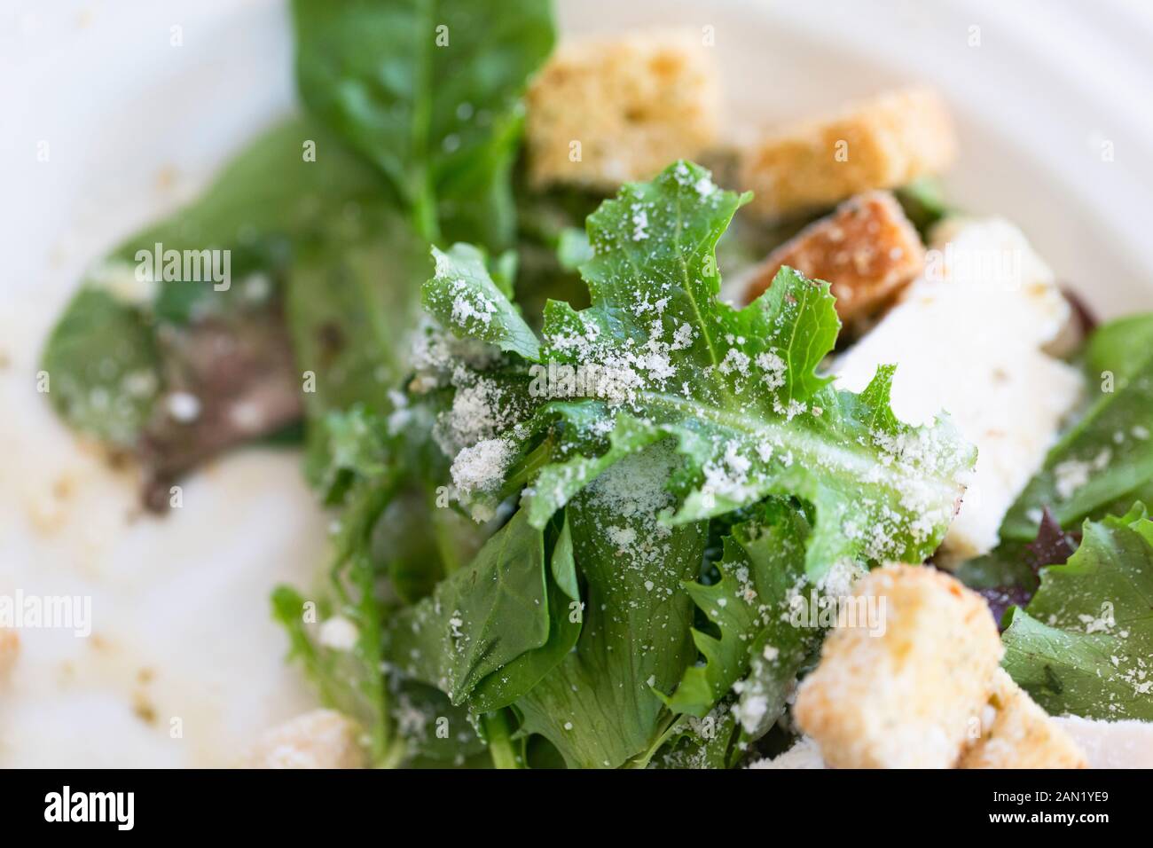 Vue en angle sur la salade au parmesan et aux croûtons sur un plat blanc Banque D'Images