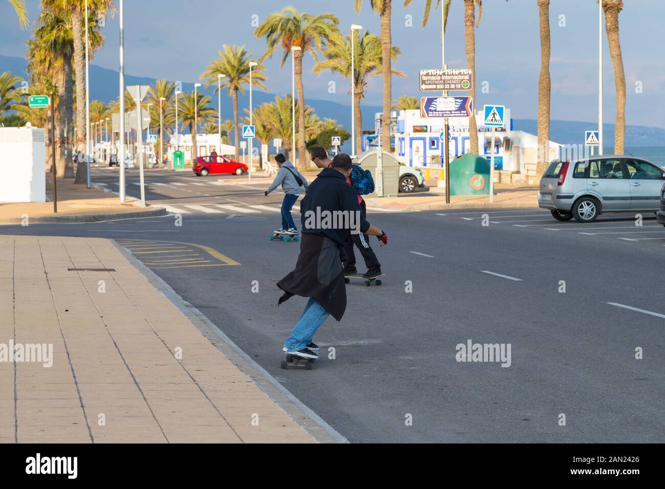 Skateboarders, rue bordée de palmiers, roquetas de mar, almeria, espagne Banque D'Images
