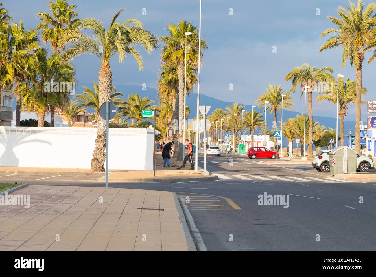 Route bordée de palmiers, roquetas de mar, almeria, espagne Banque D'Images