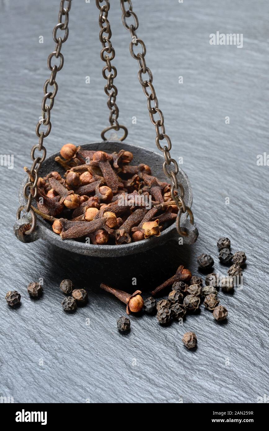Le clou de girofle et le poivre dans un plateau, Allemagne Banque D'Images