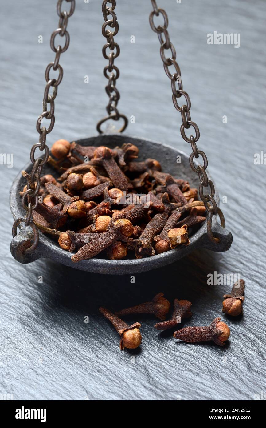 Gousses par pesée, Allemagne Banque D'Images