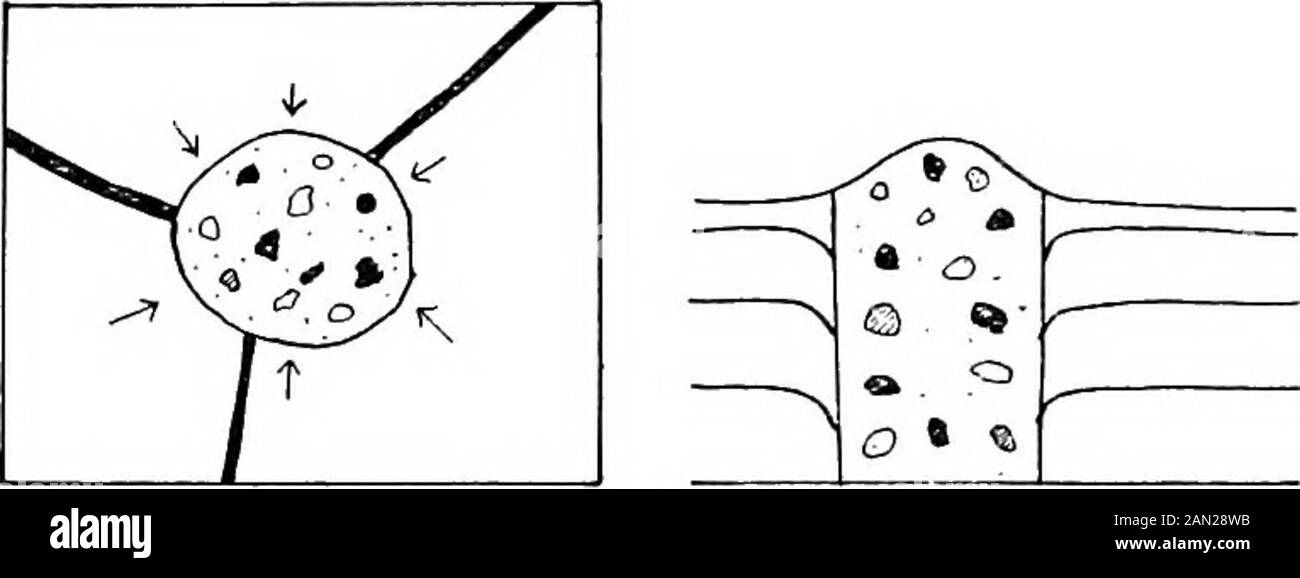 Cartes géologiques et topographiques, leur interprétation et leur utilisation, un manuel pour le géologue et l'ingénieur civil . trata. Dans la section il est habituel d'indiquer des digues par des lignes verticales, aucune information n'est disponible de la carte comme à leur inclinaison. Les dykes peuvent se ramifier, et parfois se connecter avec des feuilles de garrot et des feuilles intrusives, ou ils peuvent gonfler des intobosses, comme dans le cas de la Dyke de Bolam à Durham. L'affleurement d'une digue peut être interrompu de manière séparace. La digue peut ne pas atteindre la surface dans certains ENDROITS IGNÉS ET METAMOKPHIC HACHE 87 endroits, ou elle peut être partiellement couverte non confo Banque D'Images