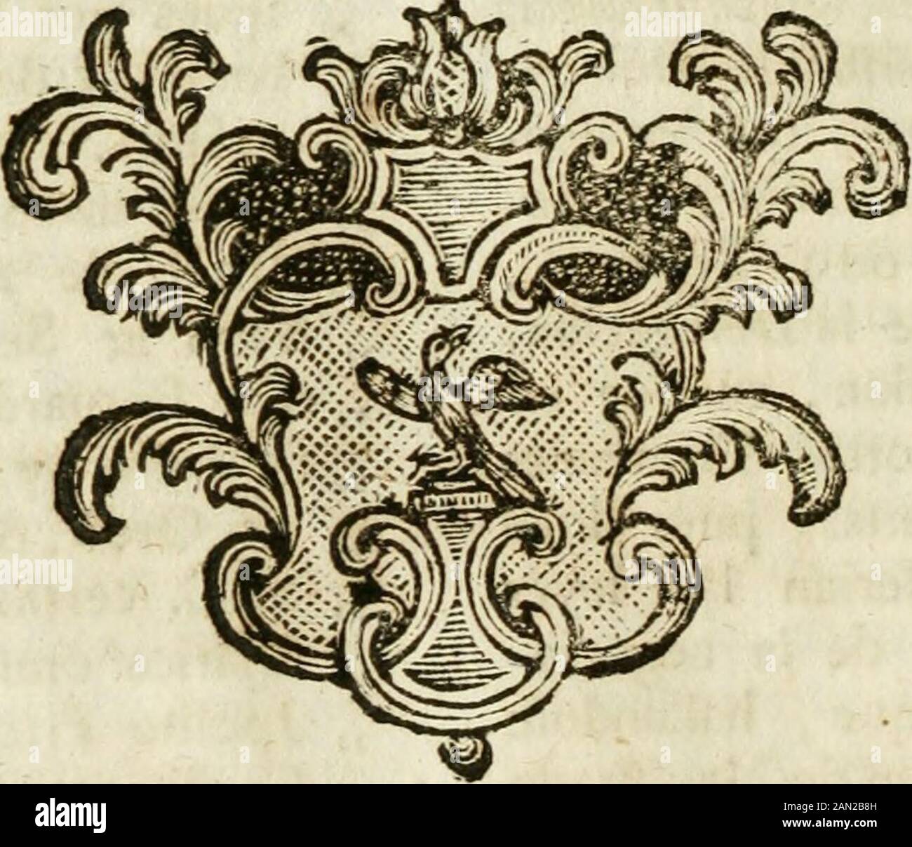 Tractatus de jure protoneos; de jure congrui DMatthiaei de Afflicitistionibus seu potius observationibus Francisci Rummi, jcNeapolitani abunde auctus; opus suprefaurum incesniti Neapolitani curiarum decisionibus regbustinatum, apercpersimonum elpercpersimpersimonum index . E„ viflo cio che efpretfano , e la fup-, plica che fanno. Mi comandaS.M.X 2 di r54 AFFLICT. De JURE di drre a V. S. lilurtrifriina, difpon-, ga , che il Configurio Dans dctta con-troverfja tra i Creditori di mag-gior fomma , e quelli di minorforama Banque D'Images